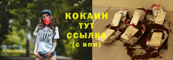 твердый Богородицк