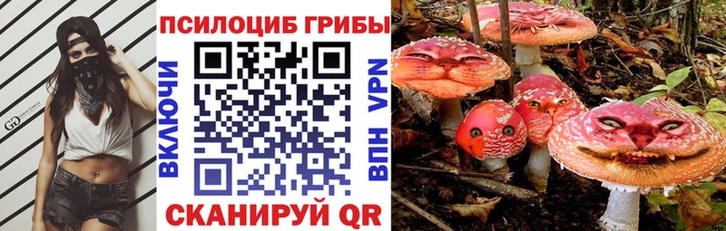 Галлюциногенные грибы GOLDEN TEACHER  Белореченск 